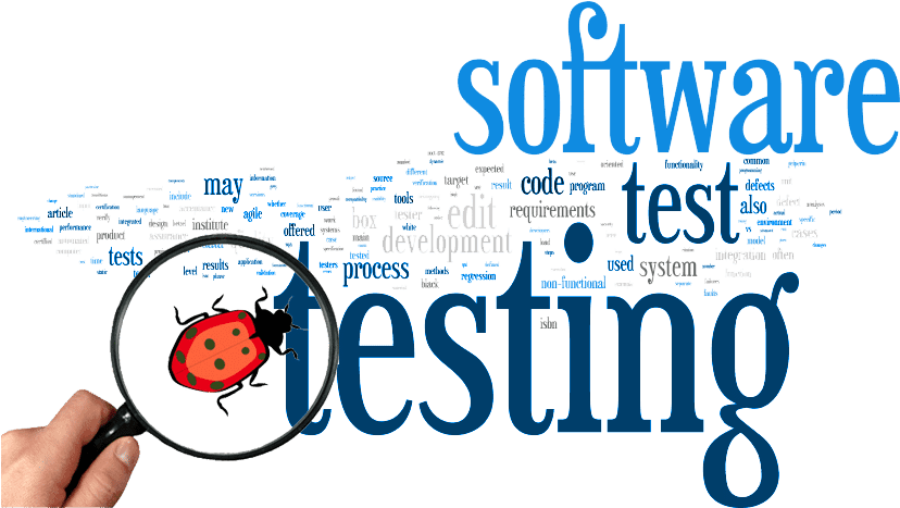 Software Testing
